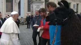 Au Vatican, des lamas reçus par le pape François