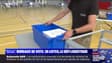 Européennes: avec 38 listes, les bureaux de vote font face à un défi logistique