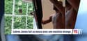 L'actu Sport.Net du 13 juillet 2016
