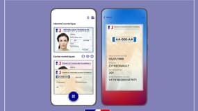 La carte grise sur France Identité. 