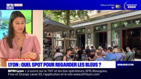 Lyon: trois lieux pour regarder le premier match des Bleus à l'Euro 2024