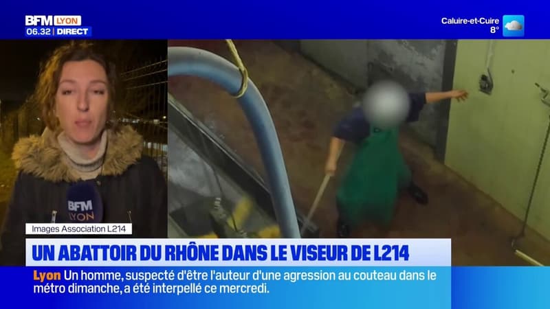 Rhône: un abattoir dans le viseur de l'association L214, qui dénonce des pratiques inhumaines