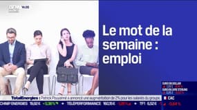 Dans c'est votre argent, le mot de la semaine c'est emploi. Pour Denis Ferrand, directeur général de Rexecode: "Il n'y a pas de croissance dans une économie sans les hommes et les femmes qu'on mobilise dans l'emploi"