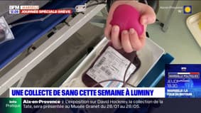 Marseille: une collecte de sang a été organisée lundi à Luminy 