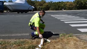 Un patrouilleur autoroutier, le 30 juin 2020, à Saint-Jean-de-Linières (près d'Angers) sur l'A11