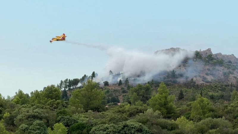 Un feu de végétation parcourt 100 hectares dans l'Aude, l'incendie "actuellement contenu"