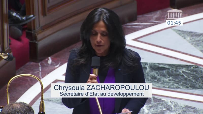 Chrysoula Zacharopoulou, secrétaire d'État au développement: 