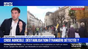 La crise des agriculteurs autour de la dermatose nodulaire ciblée par des tentatives de déstabilisation étrangères sur les réseaux sociaux