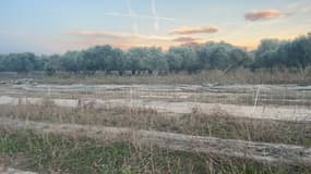 Une exploitation agricole dans le Var. 