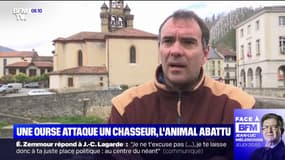 Dans les Pyrénées, un chasseur tue une ourse après avoir été blessé