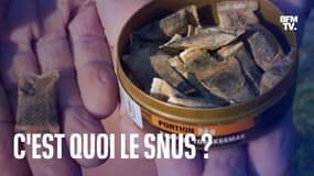 C’est quoi le snus, ces petits sachets de tabac que certains sportifs adorent?