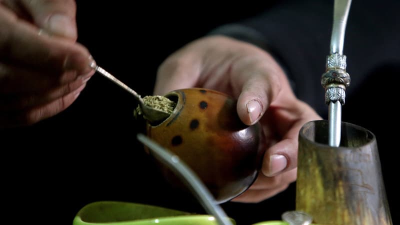 Propriétés, cancer, fabrication... Le maté est-il vraiment bon pour la santé?