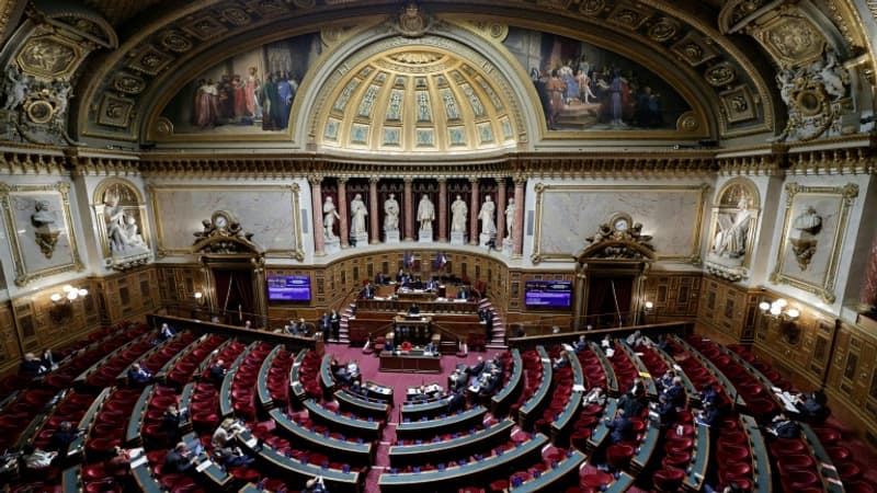 Un "texte fantôme", "une mascarade"... Les sénateurs enterrent toute forme d'aide à mourir lors des débats sur la fin de vie