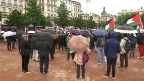 Des centaines de personnes étaient réunies à Lyon ce samedi à l'occasion d'une manifestation pro-palestinienne. 