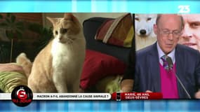 La GG du jour : Brigitte Bardot dénonce l'abandon de la cause animale ! - 27/12