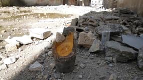 A Baba Amro, jeudi. D'intenses bombardements ont à nouveau visé ce quartier de Homs vendredi, au lendemain de l'adoption par l'Assemblée générale de l'Onu d'une résolution appuyant le plan arabe qui prévoit la mise à l'écart du président Bachar al Assad.