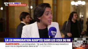 Adoption de la loi immigration: "La victoire idéologique de ce texte est évidemment pour le camp de ma famille politique", assure Laure Lavalette (RN)