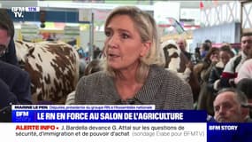 Marine Le Pen affirme qu'elle est "en train de se préparer à une quatrième candidature" à l'élection présidentielle