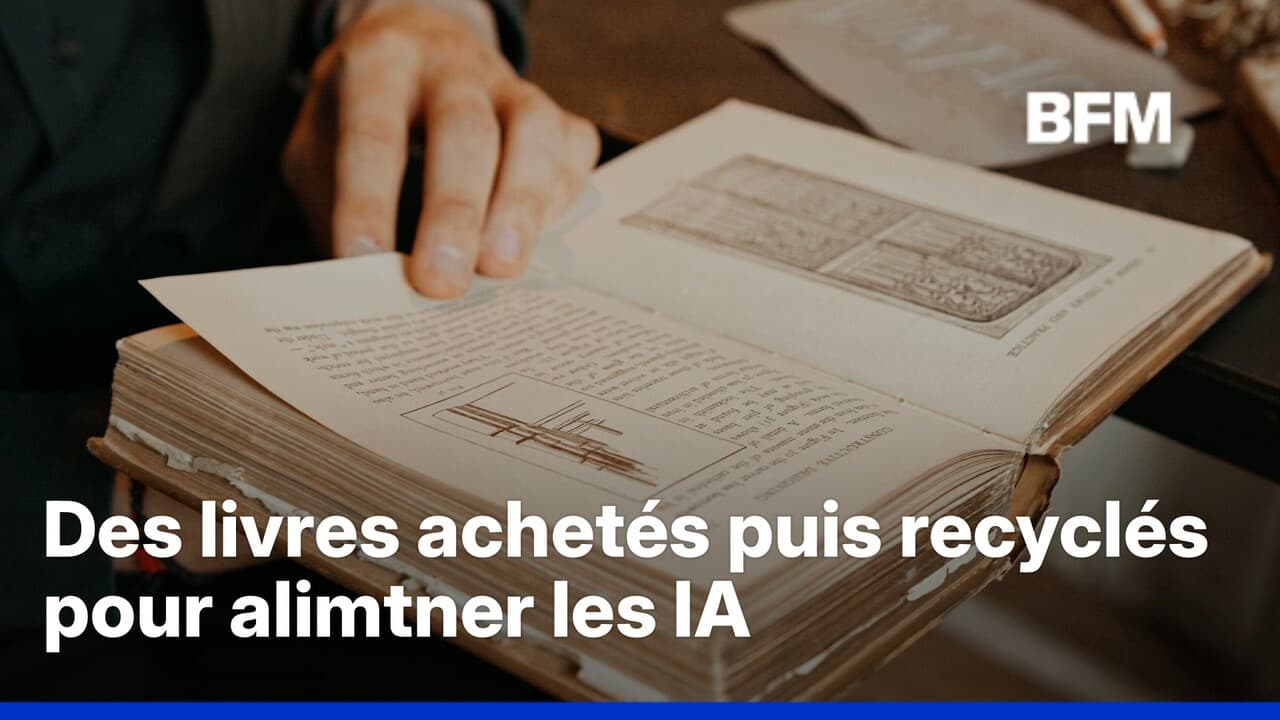 Yapay Zeka İçin Binlerce Eski Kitap Satın Alınıp Dijitalleştirildikten Sonra Yok Ediliyor
