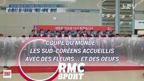 Coupe du monde : Les Sud-Coréens accueillis avec des fleurs... et des oeufs