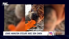 Evra, Doncic, Dybala... L'Actu Sport.Net du 26 février 2019
