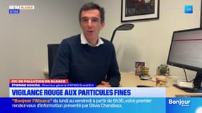 Alerte pollution en Alsace: l'air froid responsable de la stagnation des particules fines