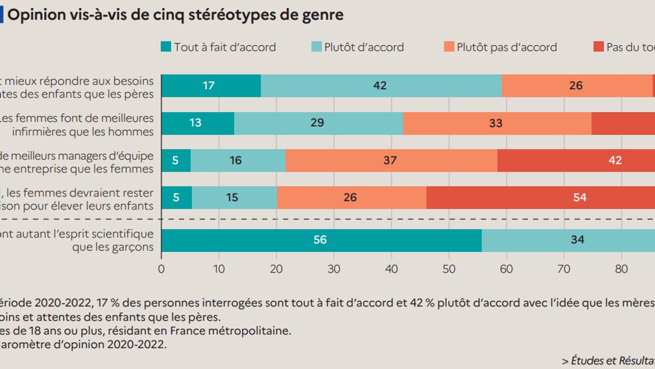 Questionnaire de la Drees sur les stéréotypes de genre