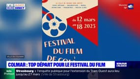 Haut-Rhin: Colmar organise cette semaine son festival du film