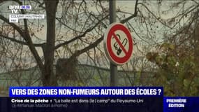 Vers des zones non-fumeurs à proximité des établissements scolaires ?