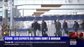 Covid-19: les experts de l’OMS chargés d’enquêter sur les origines de la pandémie sont arrivés à Wuhan