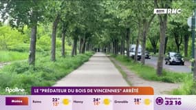 Le "prédateur du bois de Vincennes" arrêté