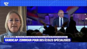 Handicap: Zemmour pour des écoles spécialisées - 15/01