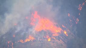 Californie: les vignobles de la Napa Valley détruits par l'incendie "Glass Fire"