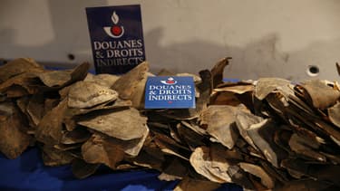 Les douaniers ont saisi 500 kg d'écailles de tortues à Roissy.