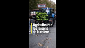 Agriculteurs : les raisons de la colère