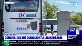 Haut-Rhin: des bus roulent au biocarburant à Colmar