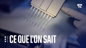 Séquençage du virus dans un laboratoire. 