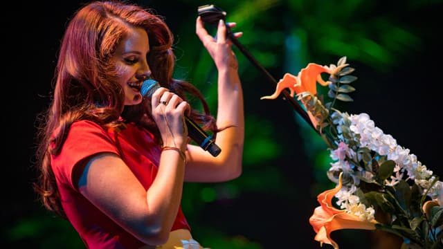 Lana Del Rey sur scène à Los Angeles, le 9 février 2016