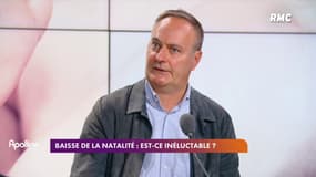 Baisse de la natalité : "Les bébés qui ne sont pas nés, ne naîtront jamais"
