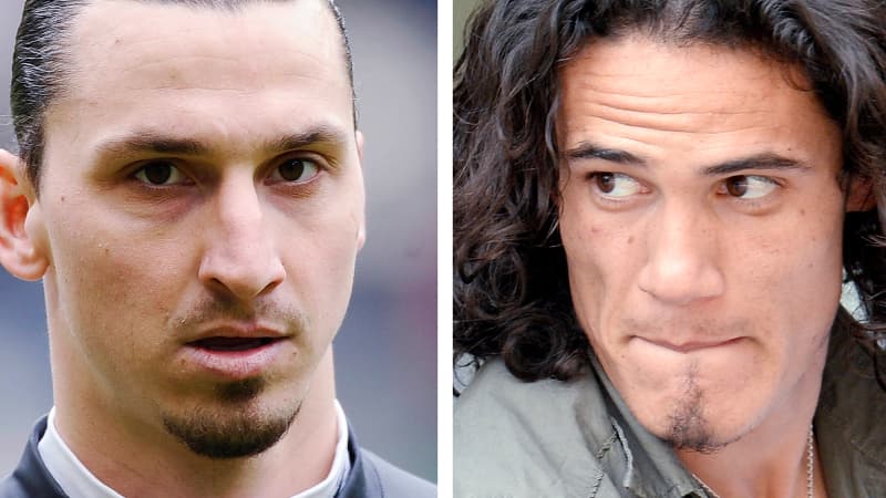 Ibrahimovic-Cavani