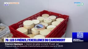 Seine-Maritime: la ferme des cinq frères à Bermonville fait partie du collège culinaire de France