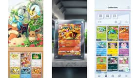 Les collections de cartes sont magnifiquement mises en avant
