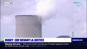 Centrale du Bugey: EDF devant la cour d'appel de Lyon