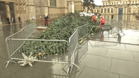 Bordeaux: la tempête Fabien fait tomber le sapin de Noël de la mairie 