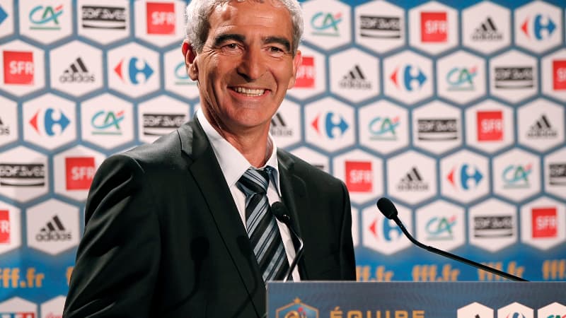 Raymond Domenech