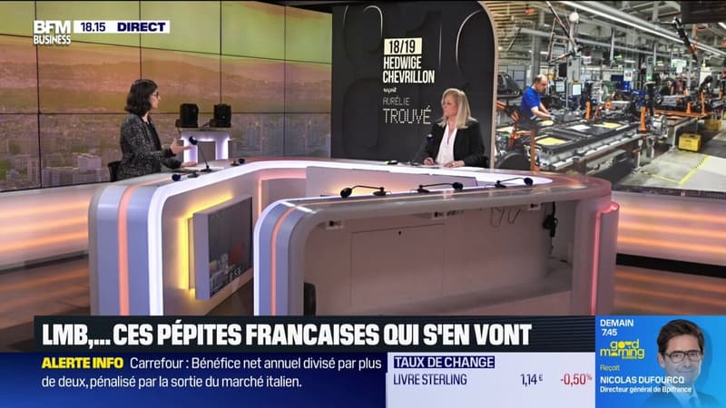 Biogaran, LMB,... ces pépites françaises s'en vont