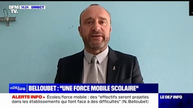 Piratage des ENT: "On perd des centaines de milliers d'heures de cours pour ces motifs-là", affirme Didier Georges (proviseur d'un lycée à Paris)