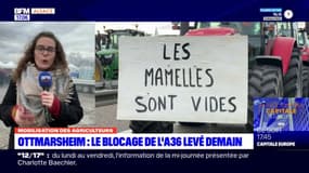 Colère des agriculteurs: le blocage de l'A36 levé vendredi à Ottmarsheim