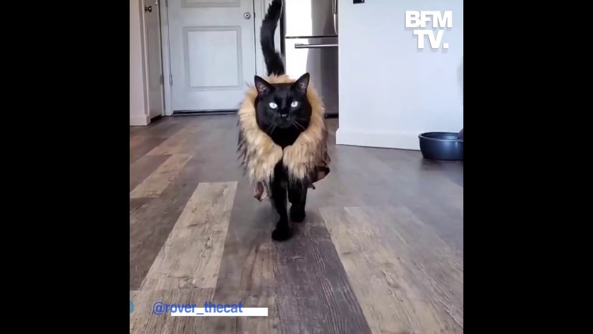 placeholder video