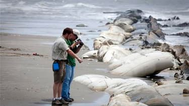 Scientifiques sur la plage de Port Fourchon, en Louisiane, que des résidus de pétrole commencent à atteindre. La compagnie pétrolière BP va déployer "dans les deux prochains jours" un dôme de confinement pour tenter de stopper la fuite de pétrole à l'orig